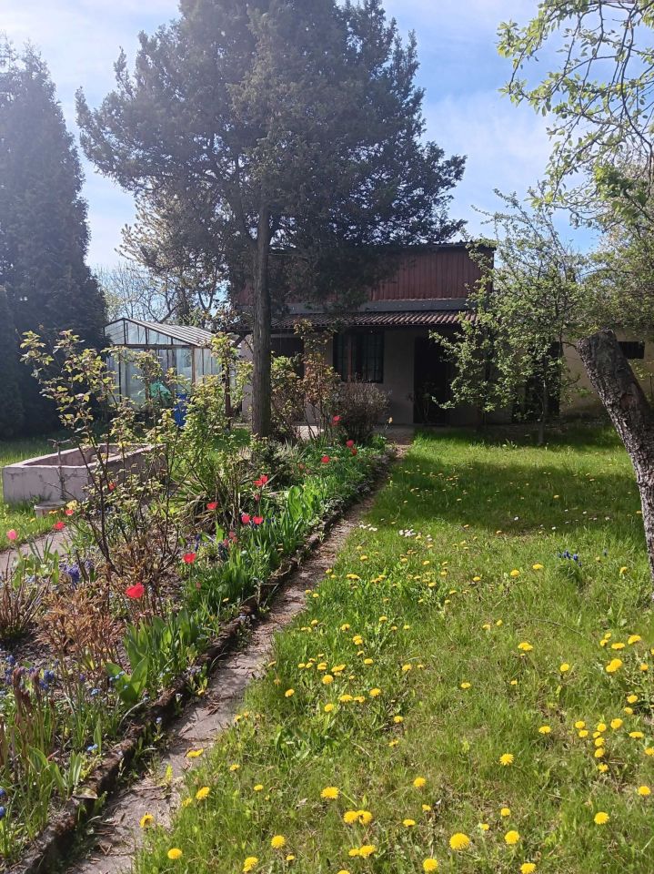 Działka rod Katowice os. Witosa, ul. Żeliwna. Zdjęcie 3