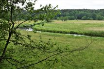 Działka rolno-budowlana Osowo Leśne. Zdjęcie 4