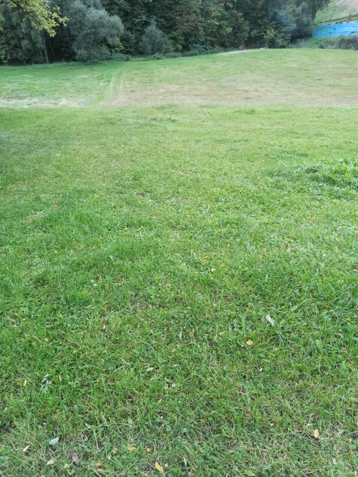 Działka rolno-budowlana Rybne. Zdjęcie 2