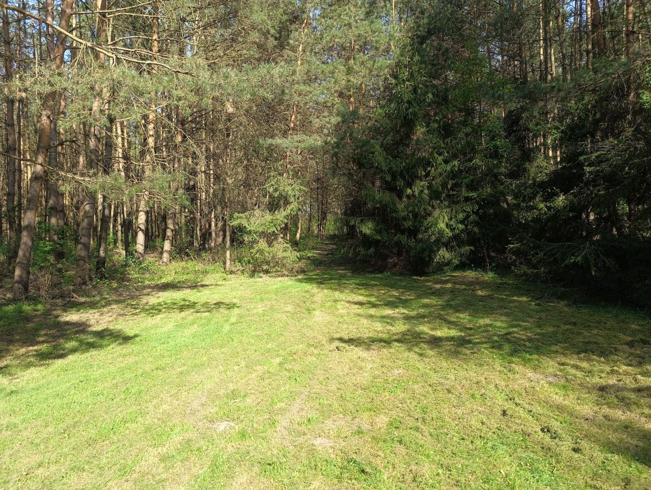 Działka budowlana Kopyść. Zdjęcie 13