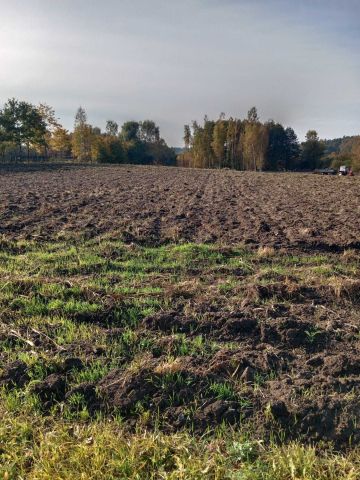 Działka budowlana Zajezierze. Zdjęcie 1