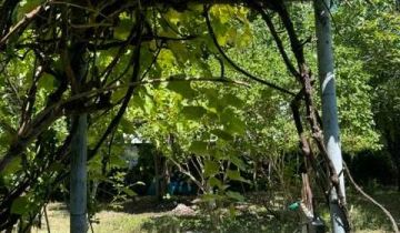 Działka rod Warszawa Ochota