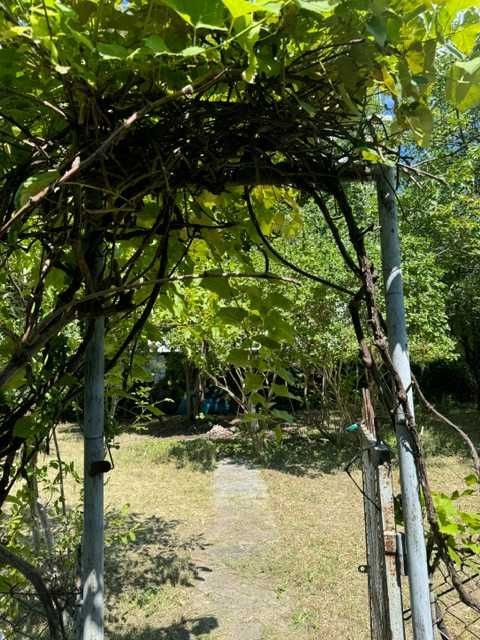 Działka rod Warszawa Ochota. Zdjęcie 2