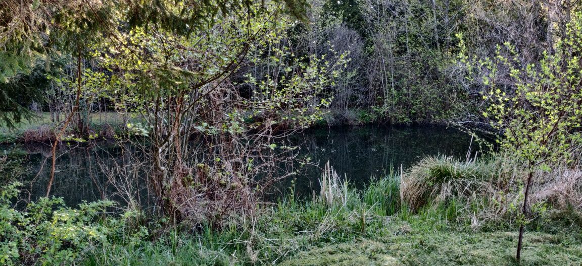 Działka rekreacyjna Jagielno. Zdjęcie 8