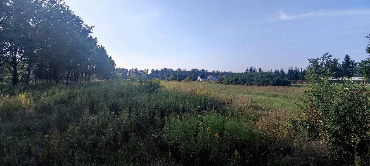 Działka budowlana Stanisławów Pierwszy, ul. Przyszłość. Zdjęcie 6