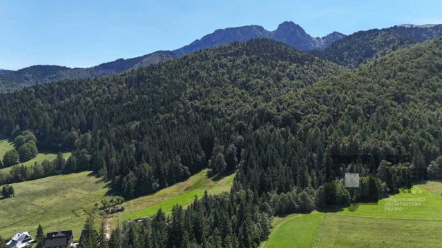 dom wolnostojący, 9 pokoi Zakopane. Zdjęcie 6