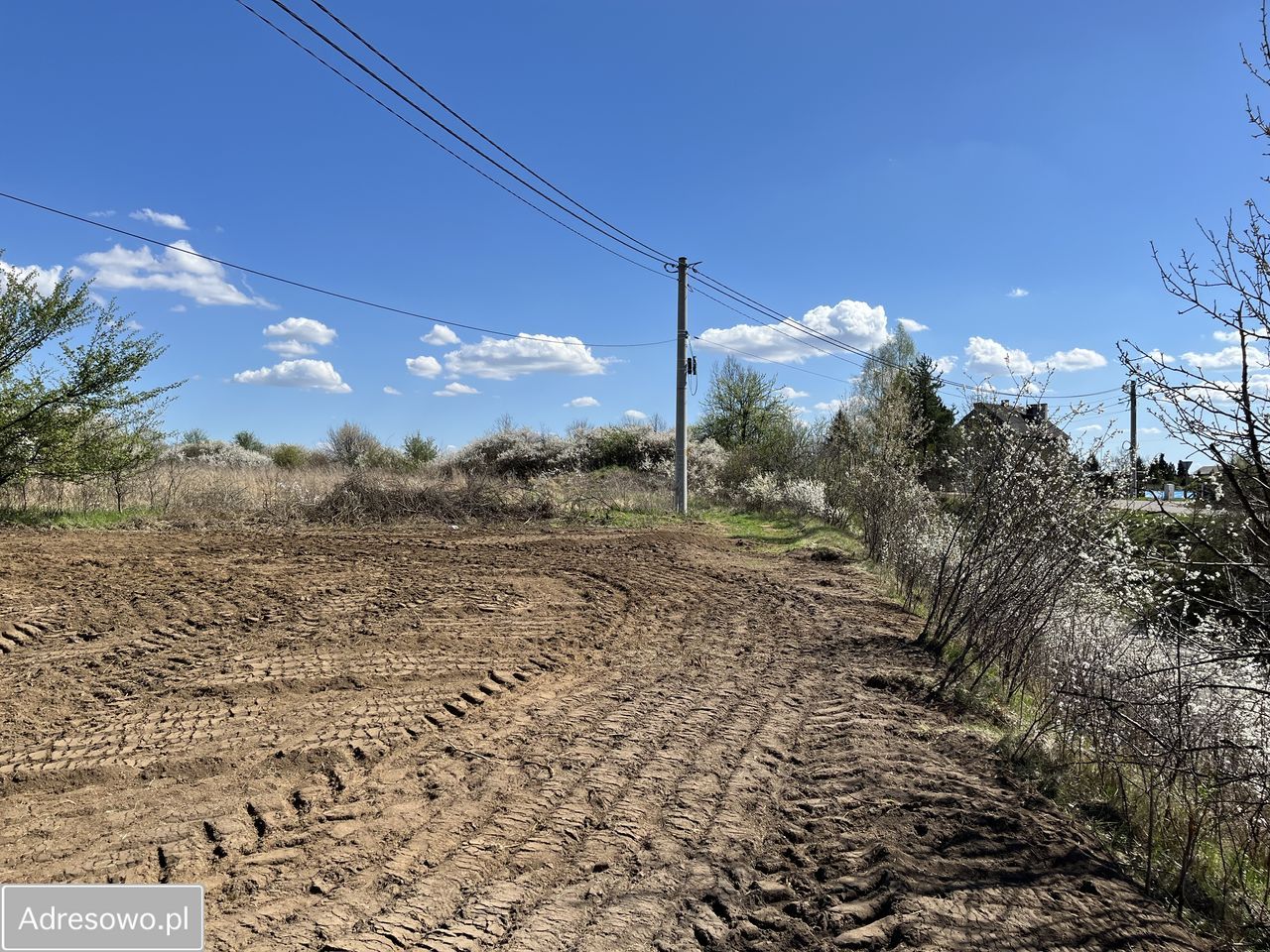 Działka budowlana Niegowonice, ul. Lipowa. Zdjęcie 5