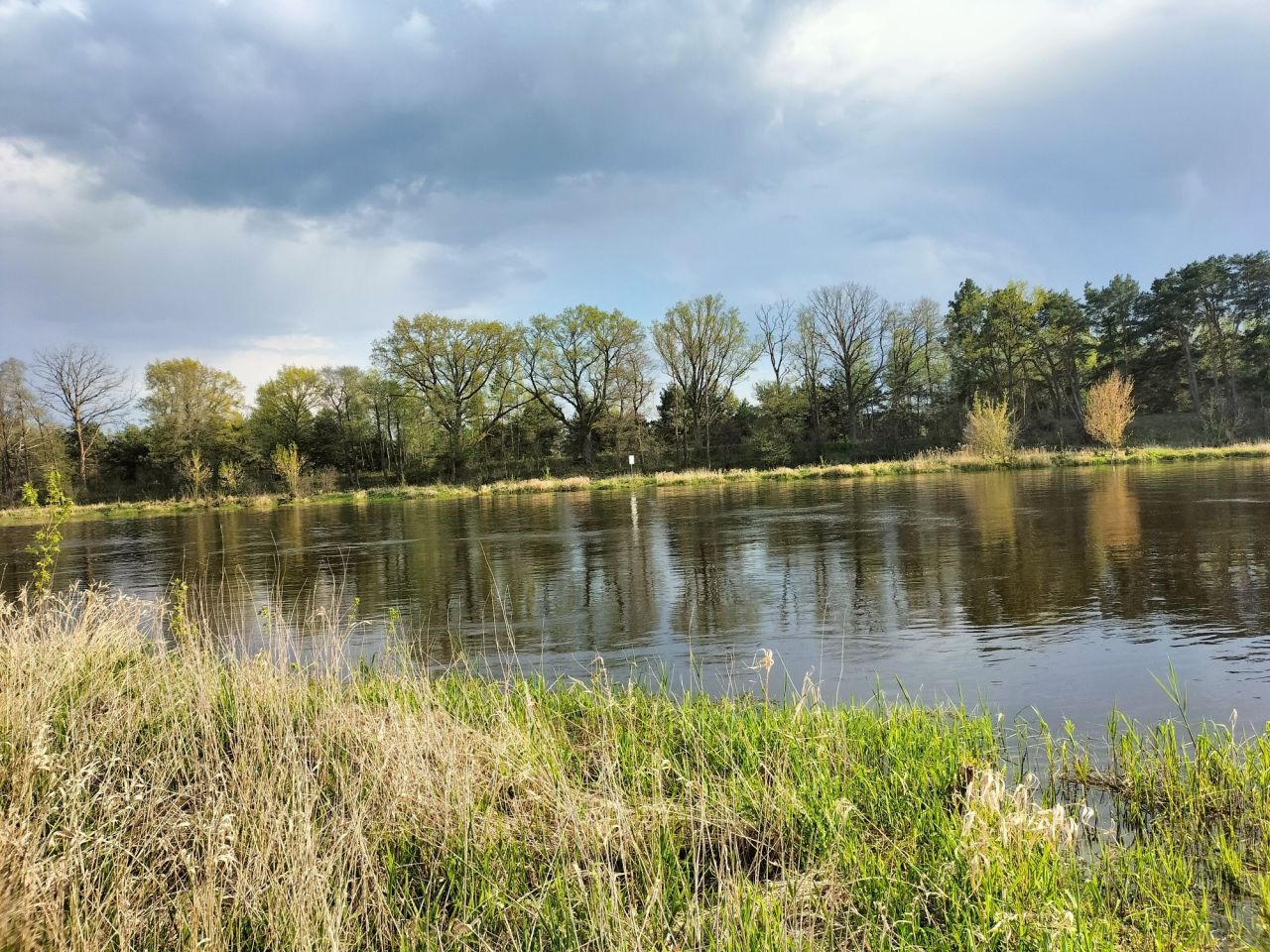 Działka rekreacyjna Orłowo. Zdjęcie 6