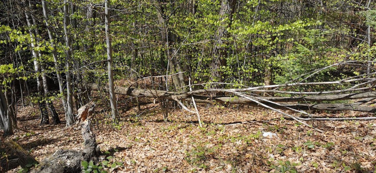 Działka budowlana Myślenice Chełm. Zdjęcie 8
