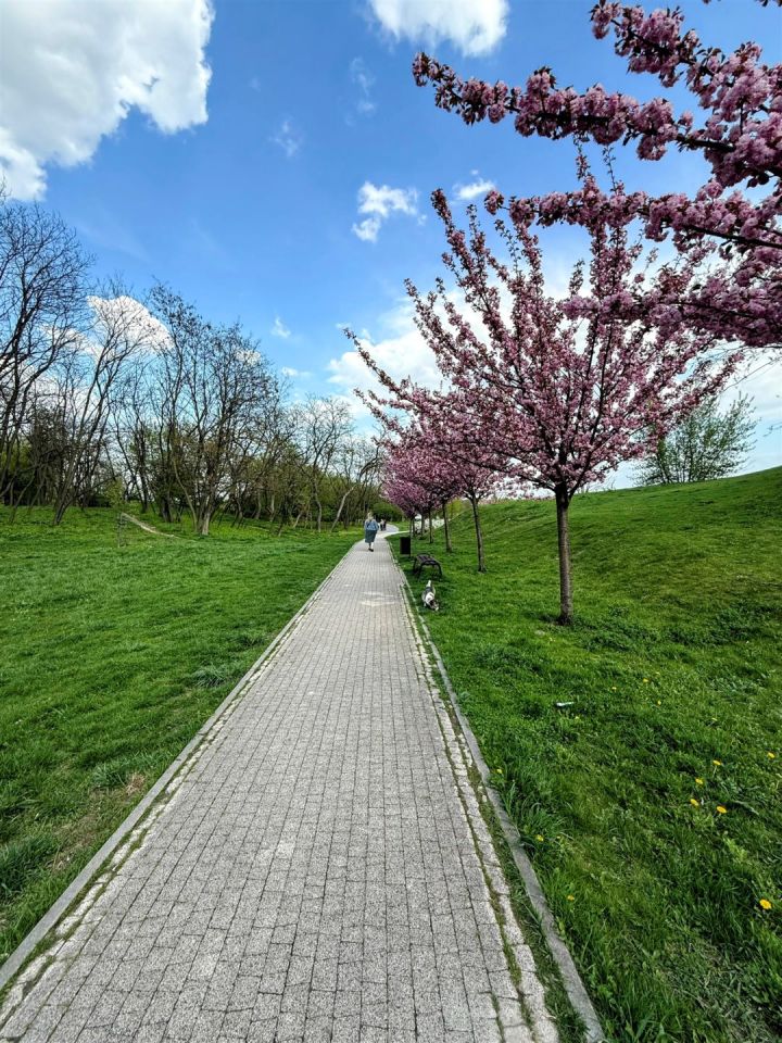 Mieszkanie 2-pokojowe Lublin Ponikwoda. Zdjęcie 5