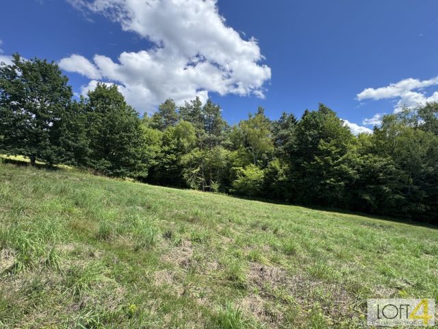 Działka budowlana Paleśnica. Zdjęcie 15