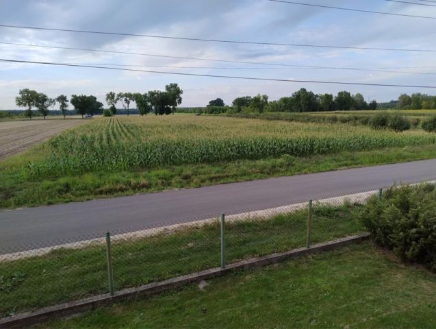 Działka budowlana Kikoły. Zdjęcie 1