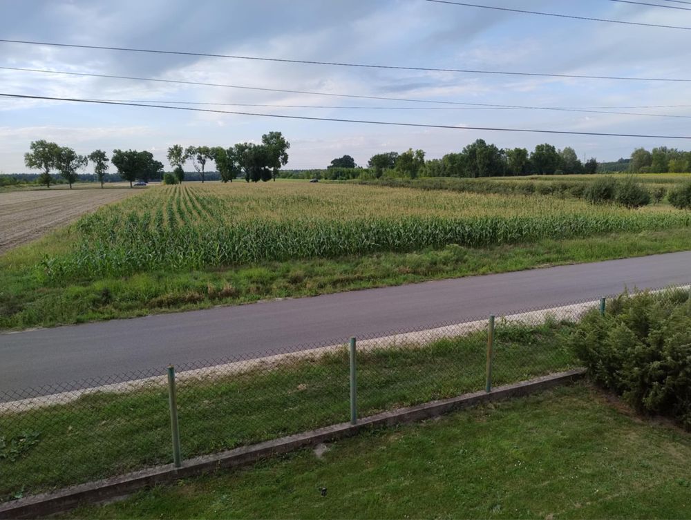 Działka budowlana Kikoły