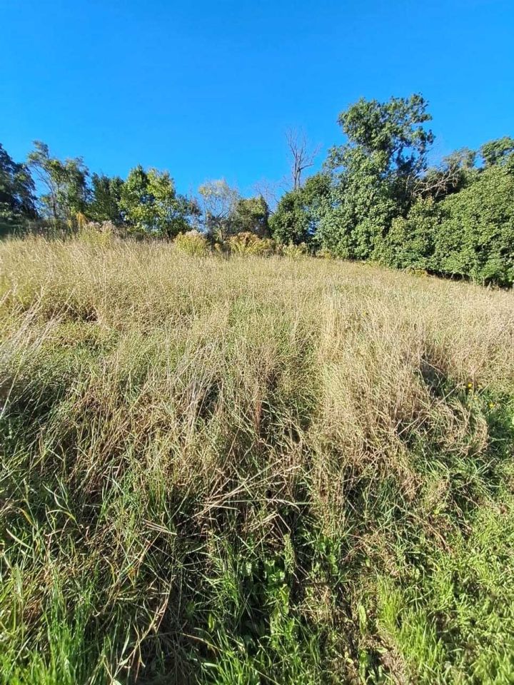 Działka budowlana Kostrzyn nad Odrą Warniki, ul. Widokowa. Zdjęcie 2