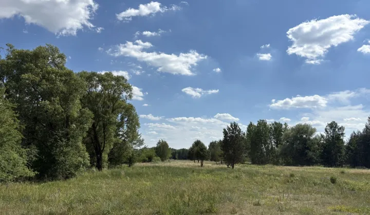 Działka budowlana Pokrówka, ul. Wesoła