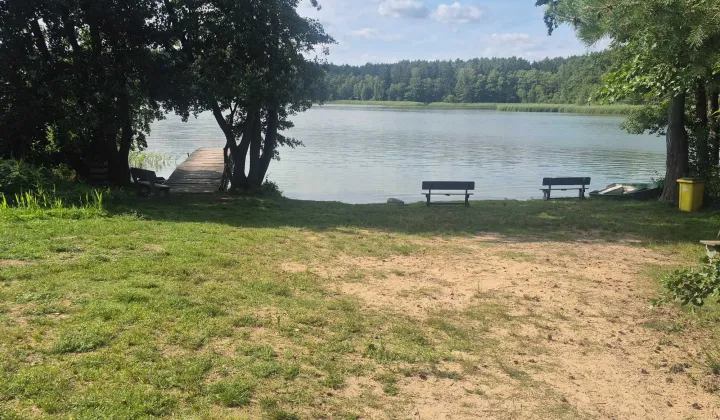 Działka leśna Zbiczno