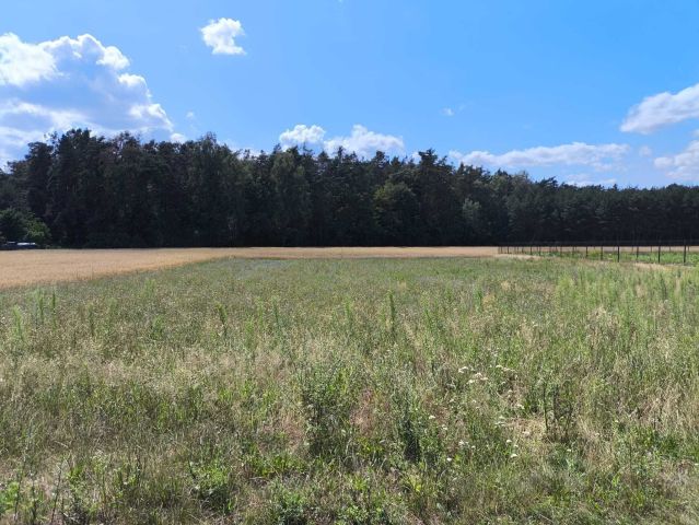 Działka budowlana Lubiaszów Nowy Lubiaszów. Zdjęcie 1