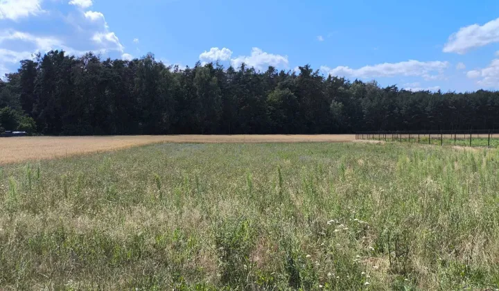 Działka budowlana Lubiaszów Nowy Lubiaszów