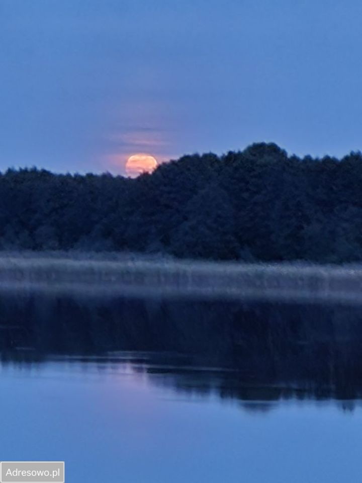 Działka rekreacyjna Piotrków Kujawski. Zdjęcie 7