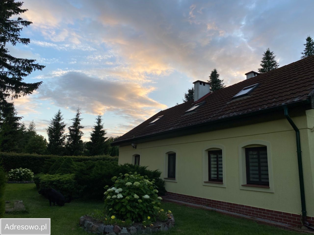 siedlisko Najdymowo. Zdjęcie 18