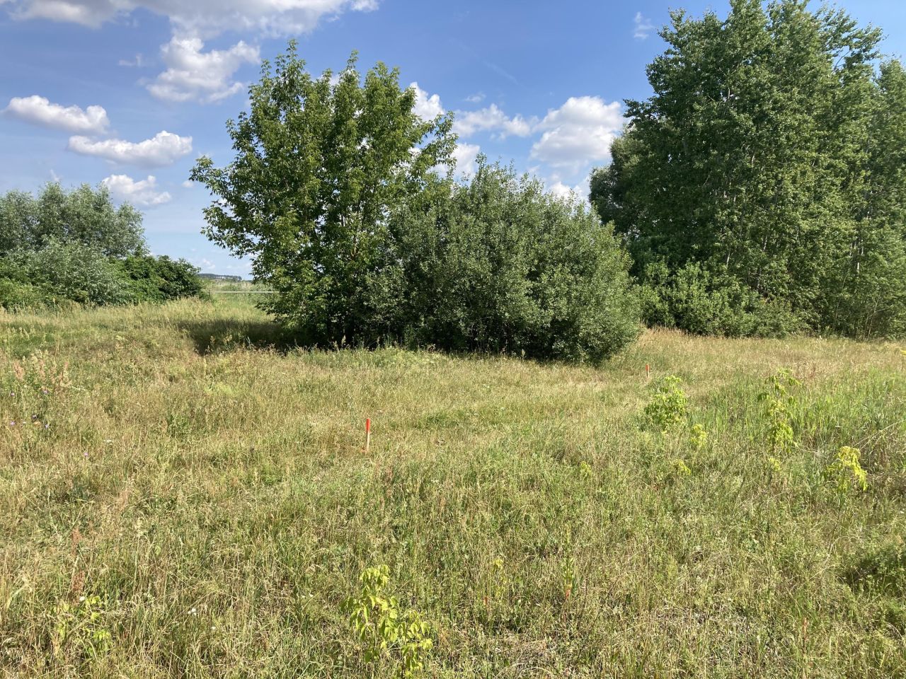 Działka rolna Czechowizna. Zdjęcie 7