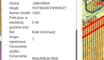 Działka rolno-budowlana Piotrków Pierwszy