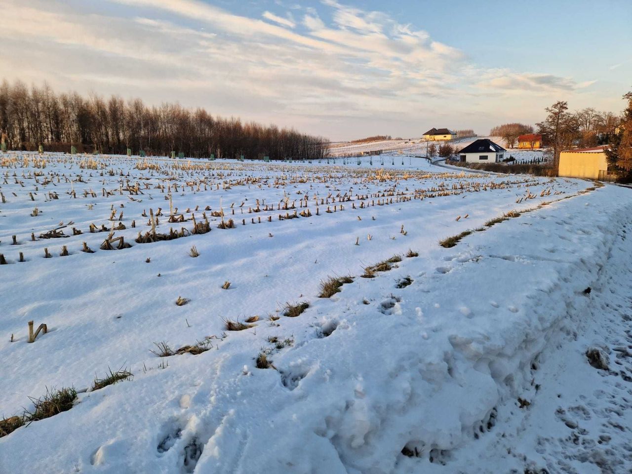 Działka rolno-budowlana Górna Wieś, ul. Królewska. Zdjęcie 3