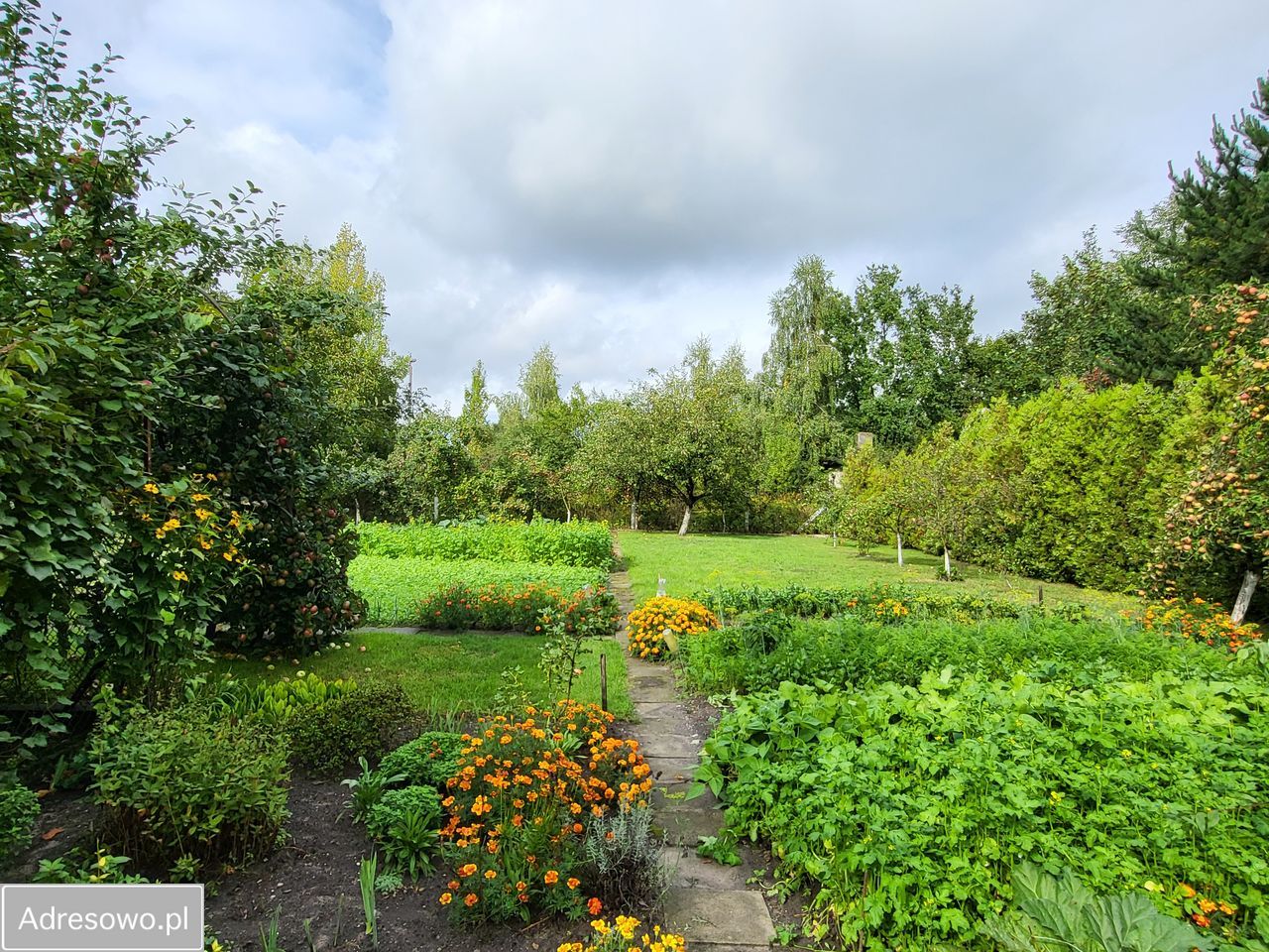 dom wolnostojący, 6 pokoi Kluczbork. Zdjęcie 18