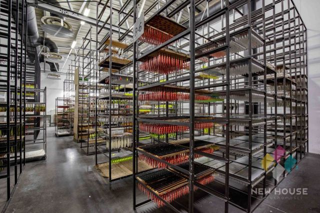 Hala/magazyn Gietrzwałd, ul. Drzewna. Zdjęcie 6