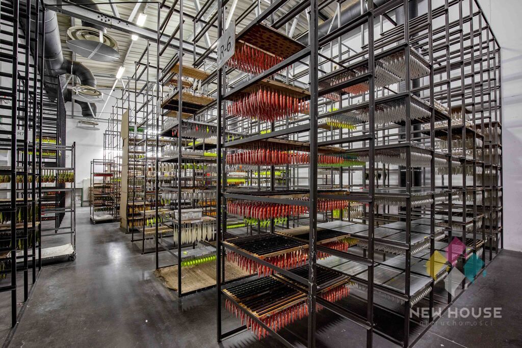 Hala/magazyn Gietrzwałd, ul. Drzewna. Zdjęcie 6