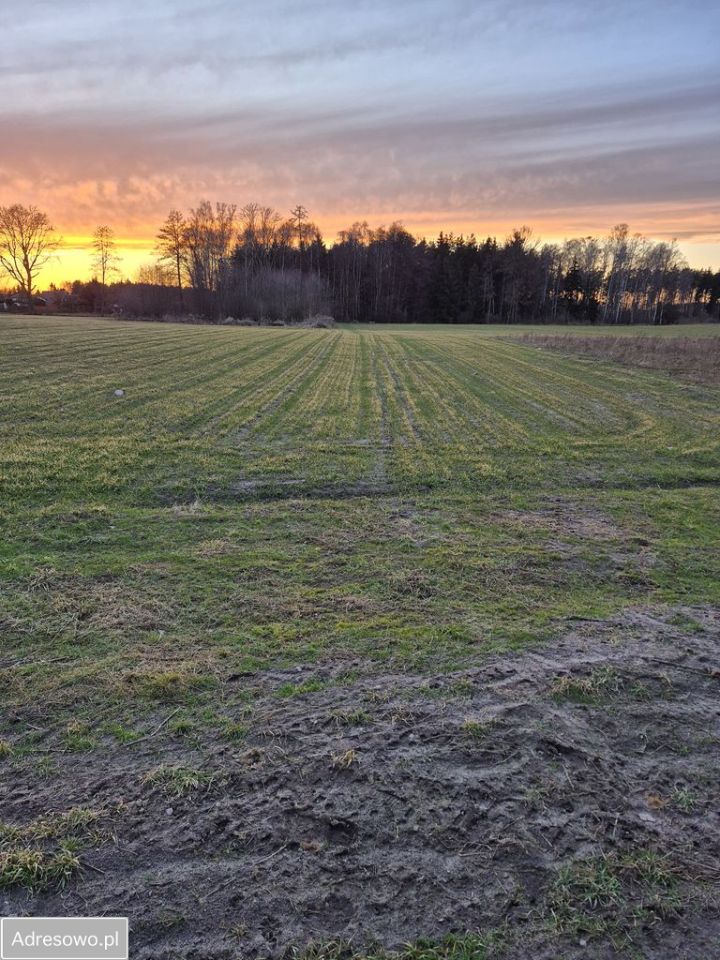 Działka budowlana Nekla. Zdjęcie 5