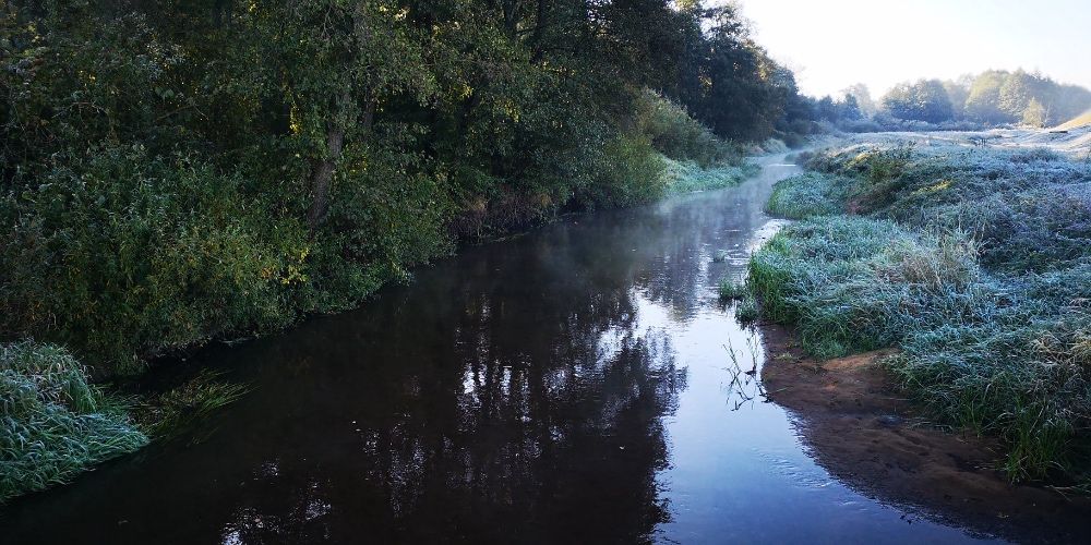 Działka budowlana Zakrucze. Zdjęcie 7