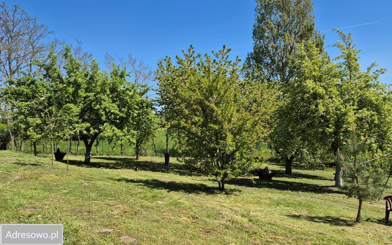 siedlisko, 4 pokoje Długie Parcele. Zdjęcie 5