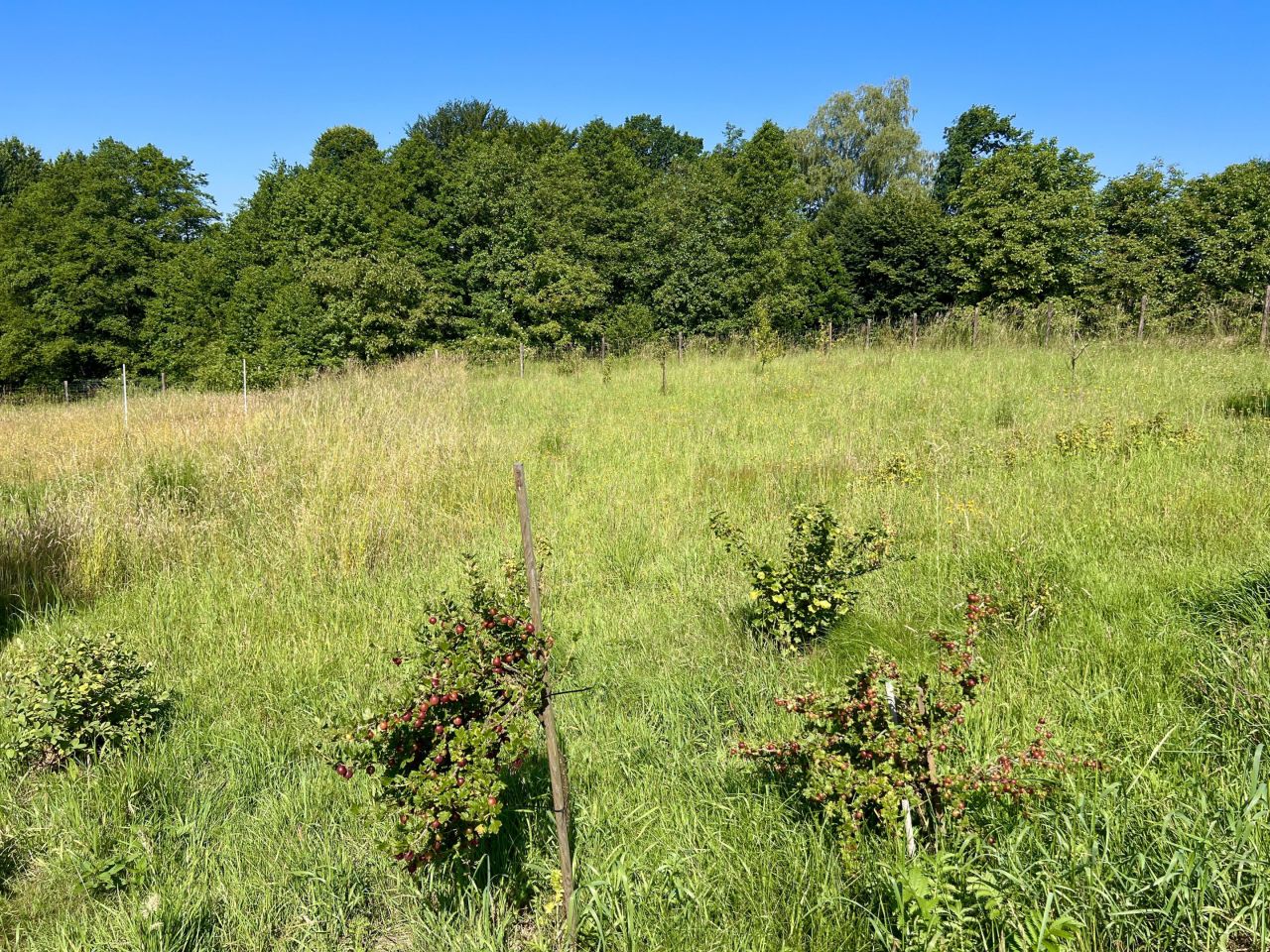 Działka budowlana Pszów, Pszów. Zdjęcie 8