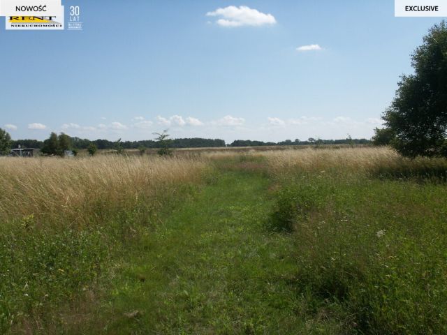 Działka rolna Radawka. Zdjęcie 5