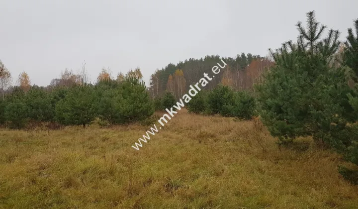 Działka budowlana Ojrzanów