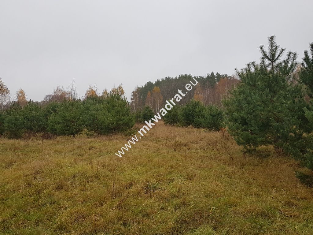 Działka budowlana Ojrzanów. Zdjęcie 1