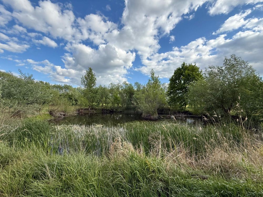 Działka budowlana Przybroda. Zdjęcie 7