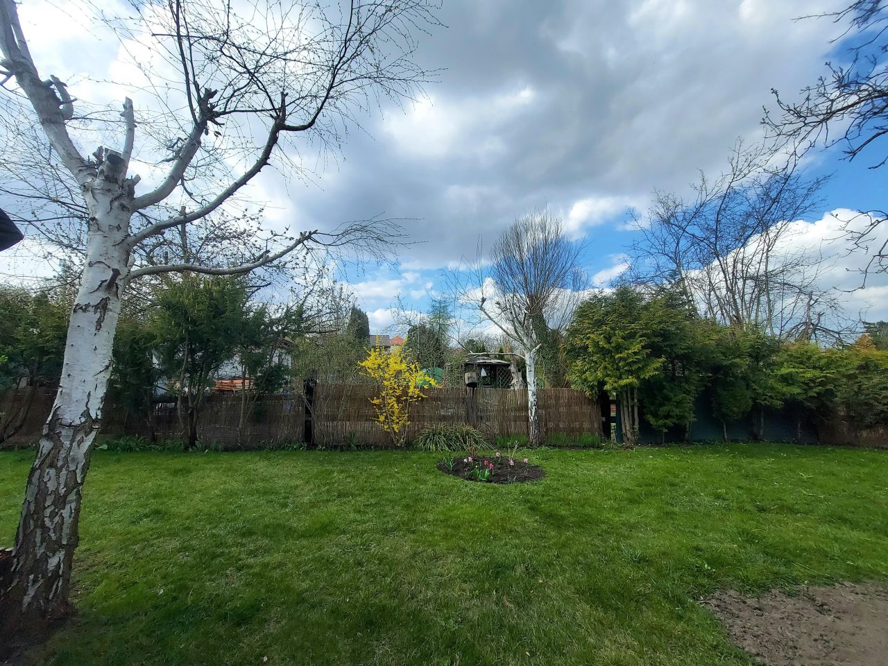 Działka rod Szczecin Gumieńce, ul. Ku Słońcu. Zdjęcie 2