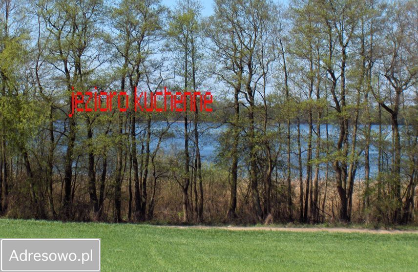 Działka rolna Chrzypsko Małe. Zdjęcie 10