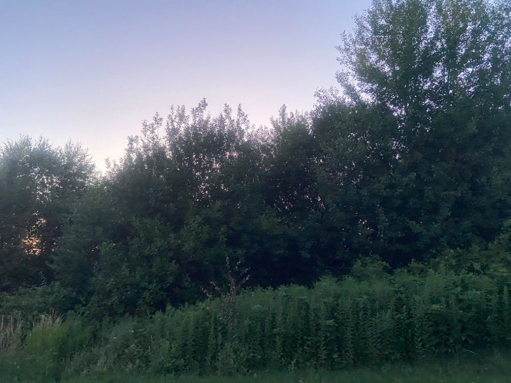 Działka rekreacyjna Jaszczurowa. Zdjęcie 4