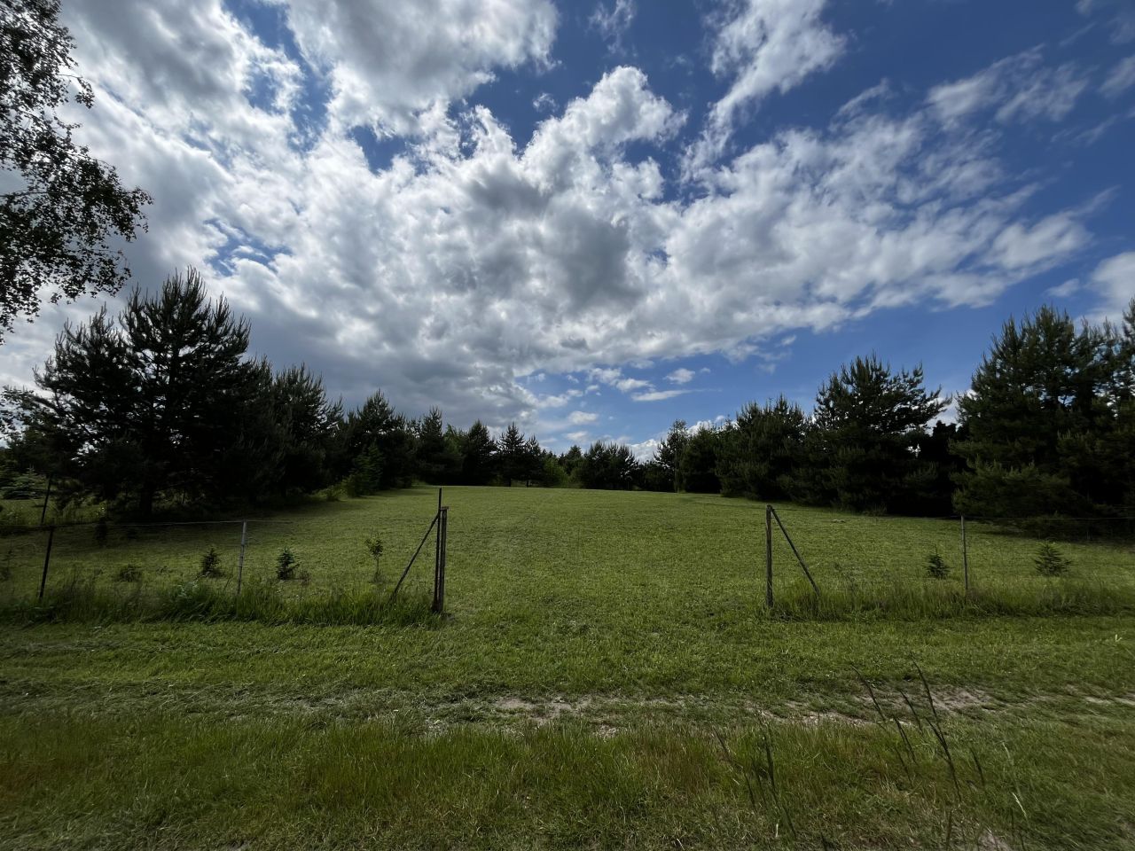 Działka rekreacyjna Jelenin. Zdjęcie 2