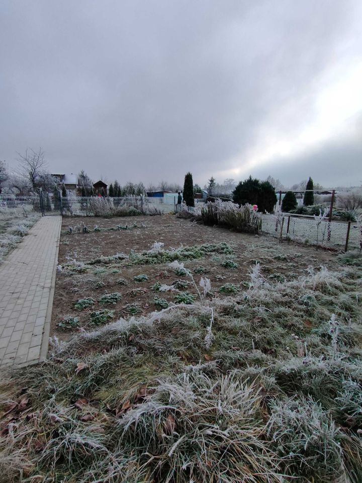 Działka rod Sępólno Krajeńskie. Zdjęcie 5