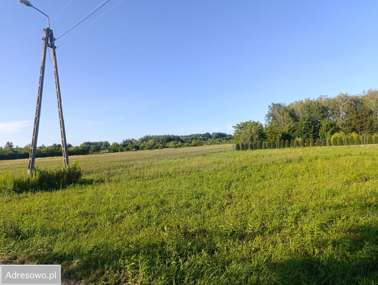 Działka budowlana Jastrzębie. Zdjęcie 5