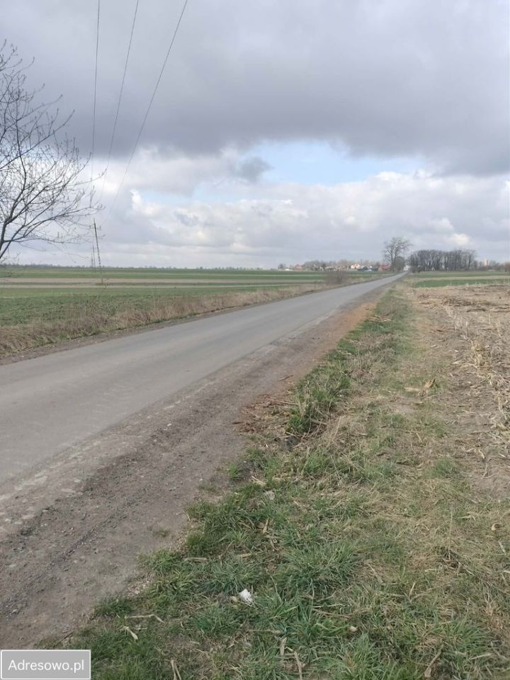 Działka inwestycyjna Sokolniki. Zdjęcie 3