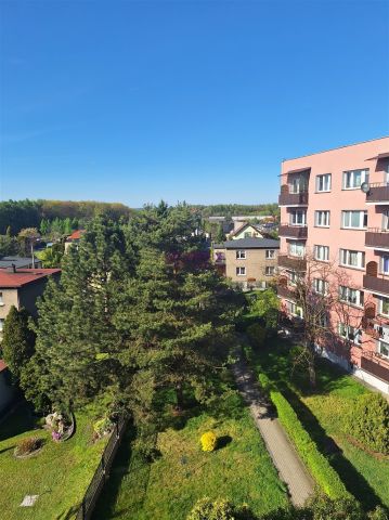 Mieszkanie 2-pokojowe Rybnik Chwałowice. Zdjęcie 21