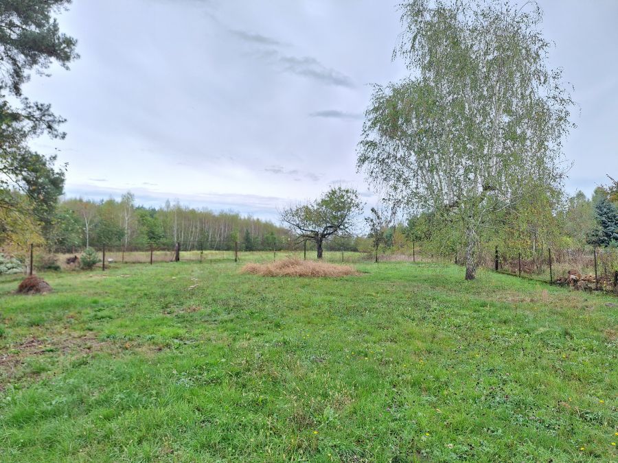 dom wolnostojący, 8 pokoi Wierzchosławice. Zdjęcie 6