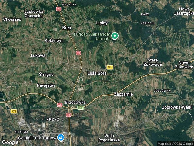 Działka inwestycyjna Lisia Góra, bez nazwy. Zdjęcie 1
