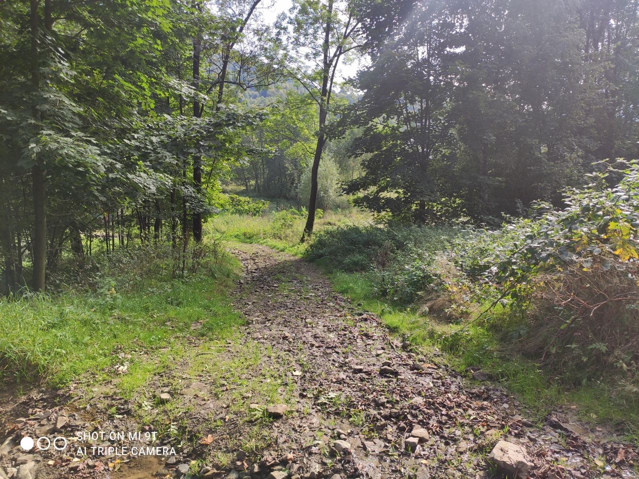 Działka rolno-budowlana Krzyżowa, ul. Buławowa. Zdjęcie 3