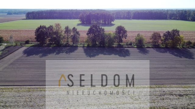 Działka budowlana Lipowa. Zdjęcie 5